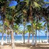 Venezuela, Margarita, Utrera Sites beach, palms