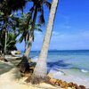 Vietnam, Phu Quoc, Peppercorn beach, palms