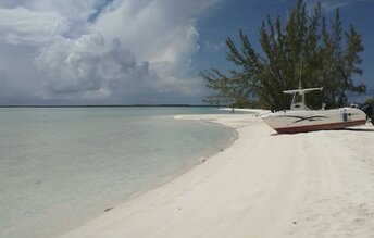 Bahamas, Andros, Tiamo beach