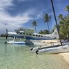 Bahamas, Andros, Tiamo beach, clear water