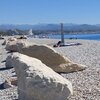 France, French Riviera, Biot beach, free parking