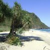 Индонезия, Малые Зондские о-ва, Сумбава, Пляж Уэйн, деревья
