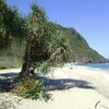 Indonesia, Lesser Sunda, Sumbawa, Wane beach, trees