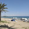 Northern Cyprus, Long Beach, palm