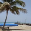 Oman, Taqah beach, palm