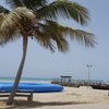 Oman, Taqah beach, palm