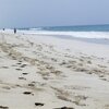 Oman, Taqah beach, water edge