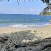 Panama, Camaroncito beach, palm shade