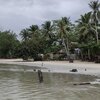 Philippines, Palawan, Kanigaran beach, palms