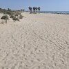 Spain, Valencia, Canet beach, dune