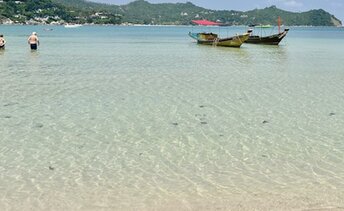 Thailand, Phangan, Anantara beach