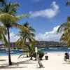 USVI, St. Croix, Cay Beach, palms