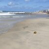 Brazil, Caponga beach, water edge