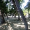 Colombia, Santa Marta, Playa Costa Azul beach, trees
