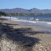 Venezuela, Playa Cardon beach, palm shade