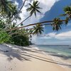 Samoa, Savaii, Faiaai beach, palms over water