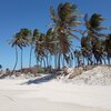Brazil, Canto Verde beach, view from water, palms