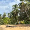Panama, Playa Damas beach, palms