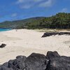 Rodrigues, Anse Ali beach, black rocks