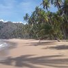 Venezuela, Playa Chaguaramas beach, palm shade