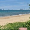 Da Nang Bay beach, ivy