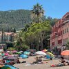 French Riviera, Plage du Suveret beach, palms