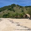 Indonesia, Flores, Le Pirate Island