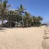 Vietnam, Da Nang, Loc Thanh beach, palms