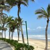 Vietnam, Da Nang, Son Thuy beach, palms