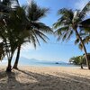 Vietnam, Da Nang, Tien Sa beach, palms