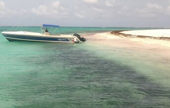 Bahamas, Cay Sal Bank, Anguilla Cays island
