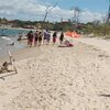 Brazil, Canto Da Barra beach, water edge