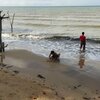 Таиланд, Сиамский залив, Пляж Энджелс-бич, мутная вода