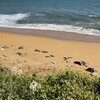 Kerala, Eravipuram beach