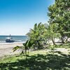 Philippines, Palawan, Sowangan beach, trees