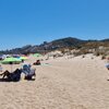 Spain, Valencia, Faro de Cullera beach, dune