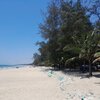 Vietnam, Chu Lai, My Khe beach, trees & palm
