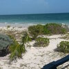 Bahamas, Grand Bahama, Bishop's beach, bush