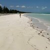 Bahamas, Grand Bahama, Pelican Point beach, walking
