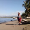 Indonesia, Lesser Sunda, Flores, Sengari beach, snag