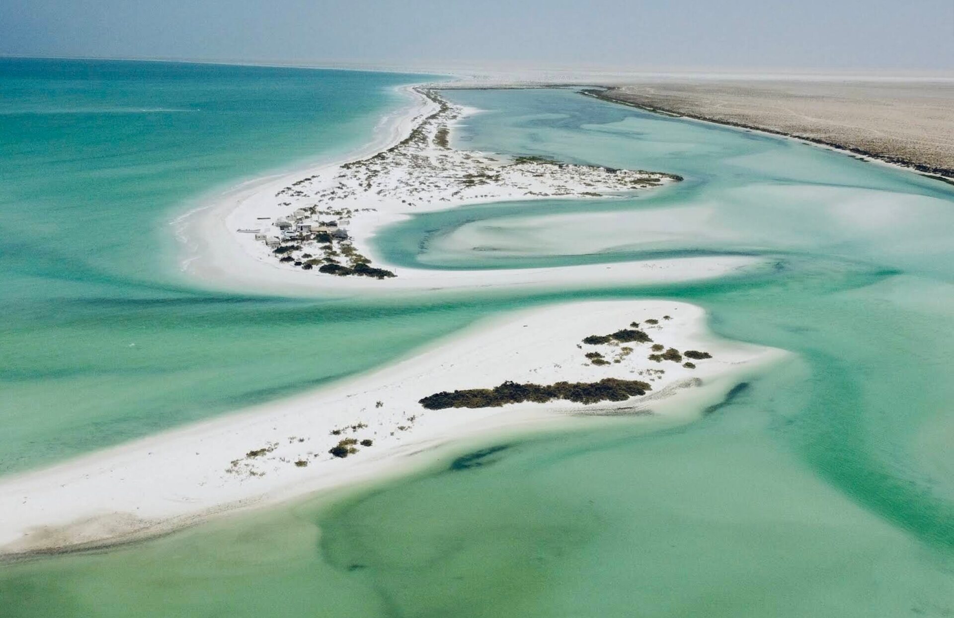 barr-al-hikman-beach-oman-ultimate-guide-january-2026