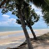 Таиланд, Сиамский залив, Пляж Хат-Ратчакарун, деревья