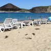 Turkey, Aksaz beach, sunbeds