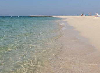United Arab Emirates (UAE), Dubai, Gecko Beach