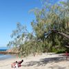 Australia, Bowen, Horseshoe Bay beach, tree