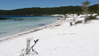 Australia, Fraser, Lake Birrabeen, beach