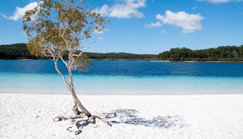 Australia, Fraser, Lake McKenzie, beach