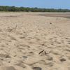 Australia, Mackay, Bucasia beach, sand