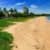 Australia, Townsville, Strand beach, grass