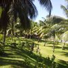 Bora Bora island, Hilton beach, garden